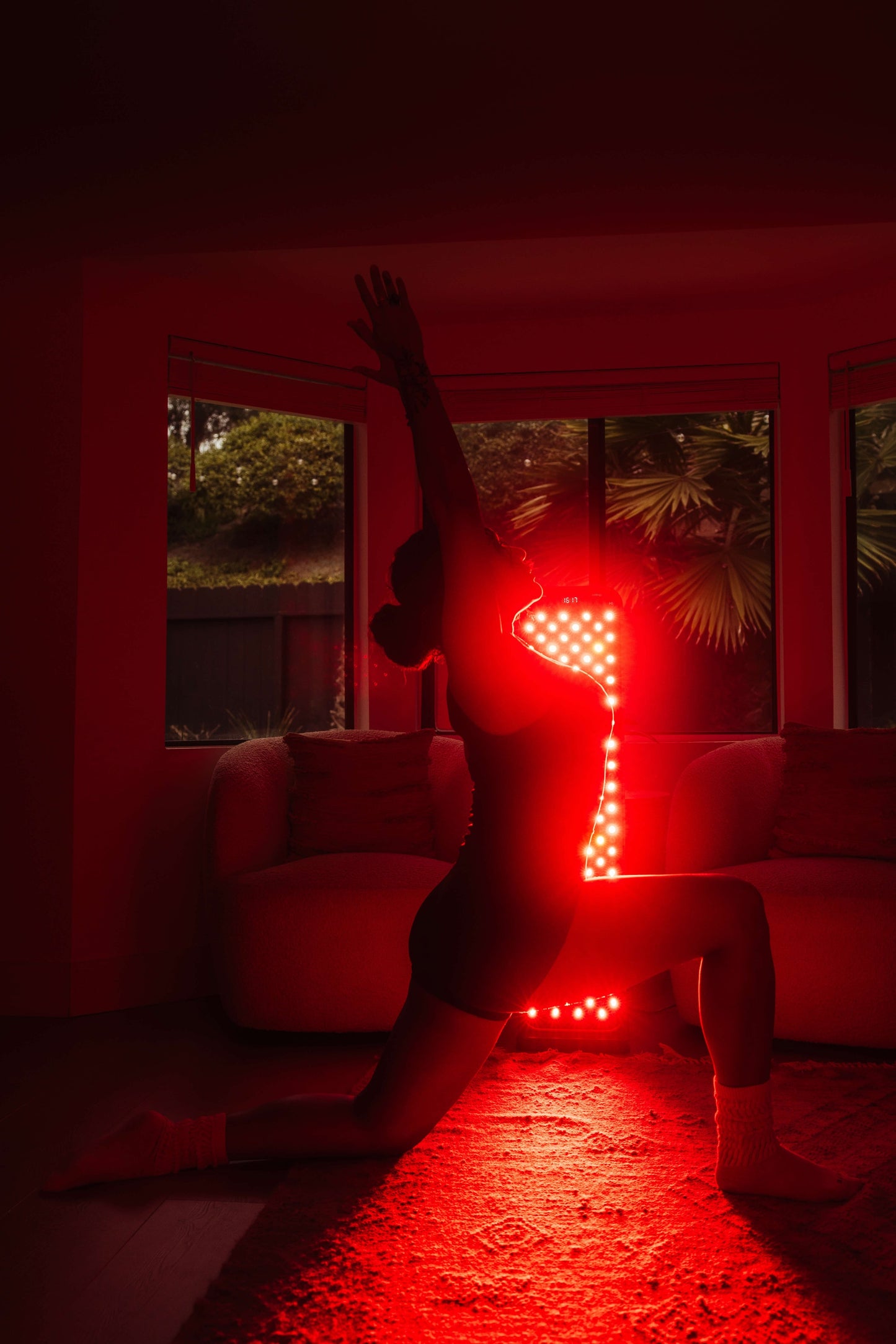 Renew Red Light- The Large Panel