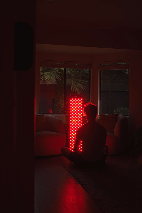 Renew Red Light- The Large Panel
